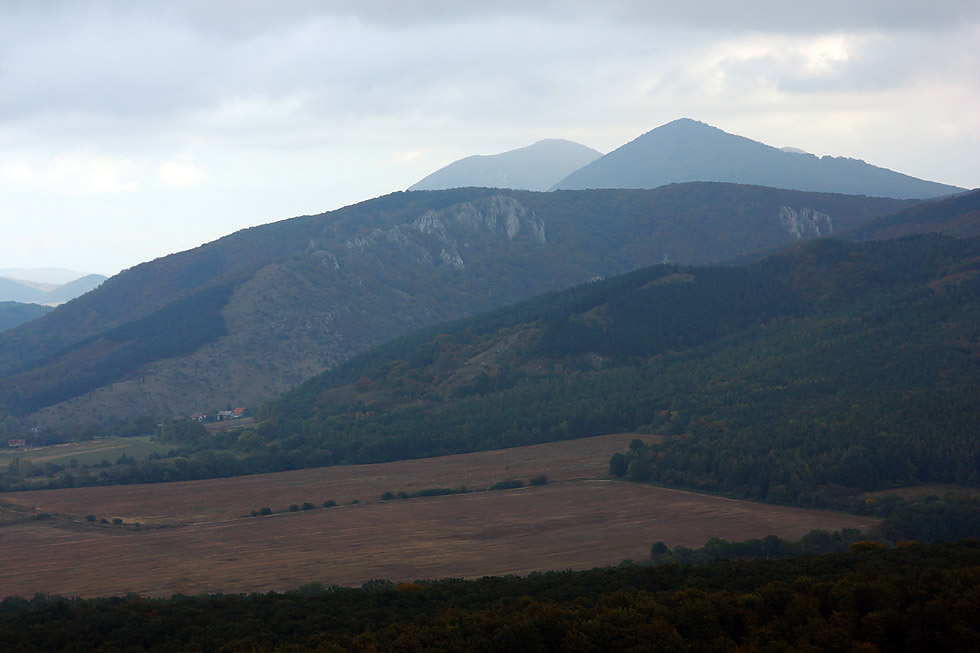 _MG_2203.JPG