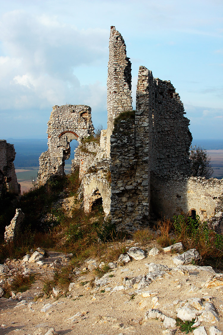 _MG_2214.JPG