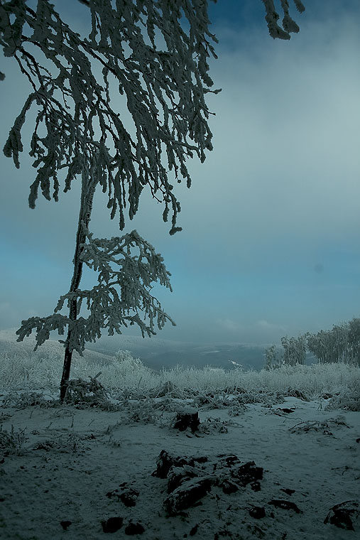 _MG_4077.jpg