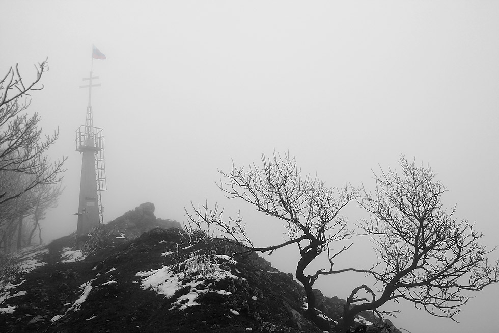 _MG_2032.JPG