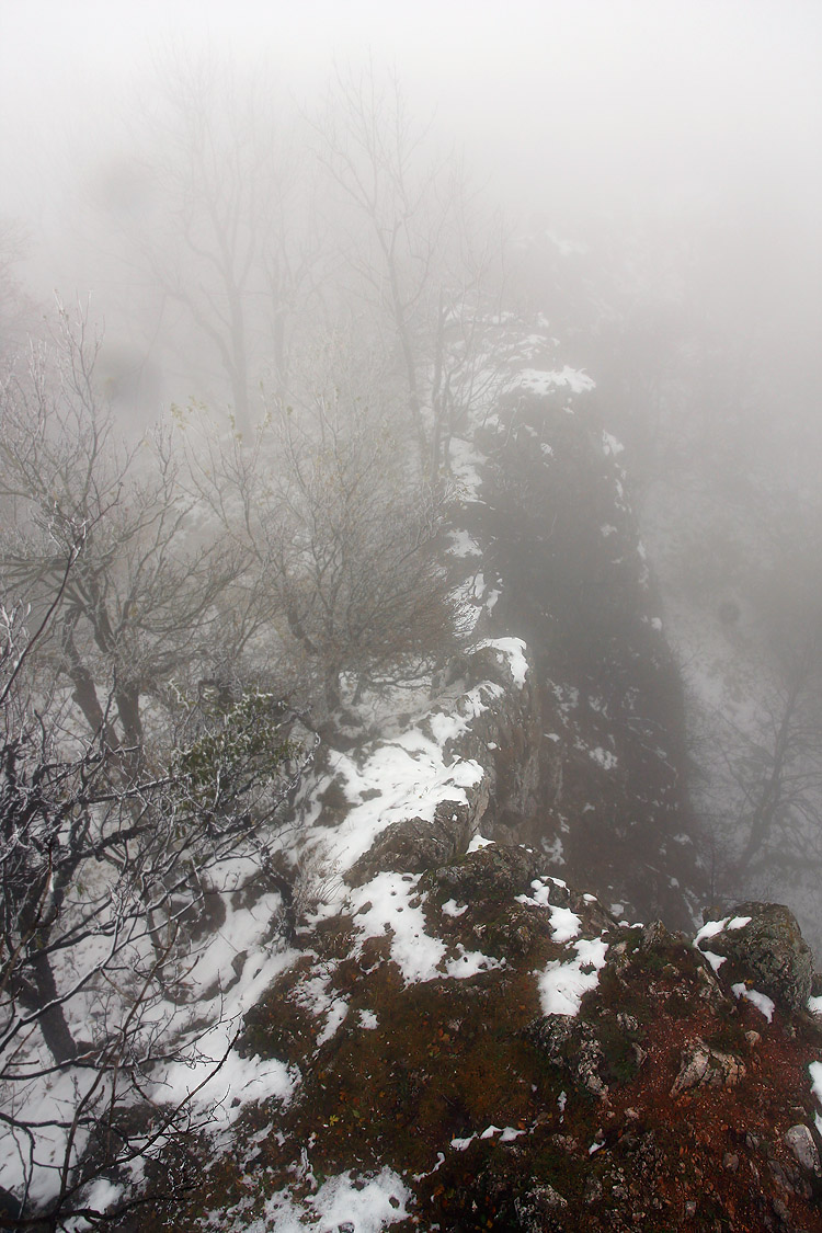 _MG_2074.JPG