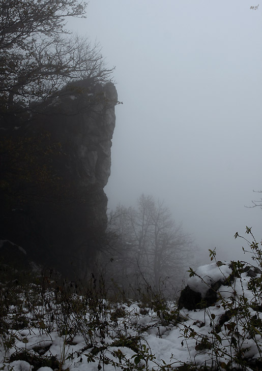 _MG_2088.jpg